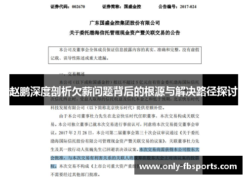 赵鹏深度剖析欠薪问题背后的根源与解决路径探讨